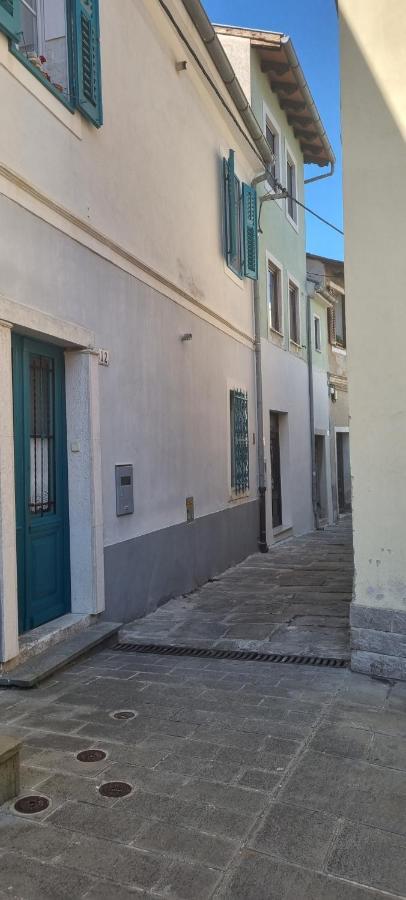 Apartma Galeb ピラン エクステリア 写真